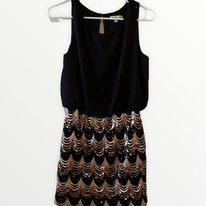 Black Scalloped Sequin Fitted Dress